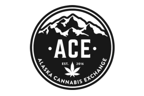 Shopify Development & Shopify SEO - ACE